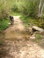 20130501 GOUVETS PATH & FORD BRIDGE 07